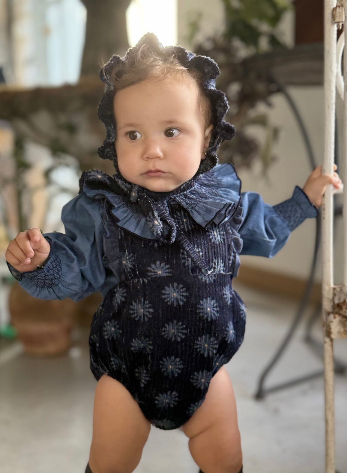 Ranita niña Lobelia